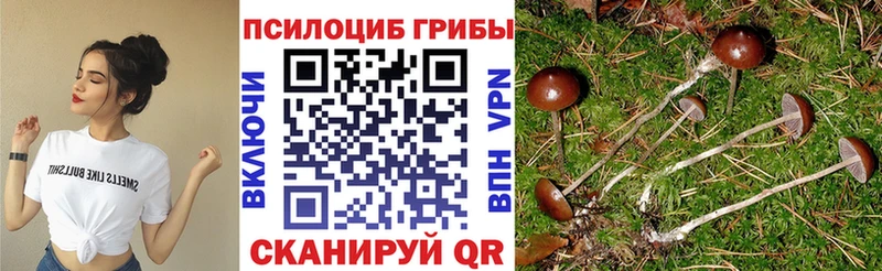 Псилоцибиновые грибы Magic Shrooms  закладки  MEGA ССЫЛКА  Ангарск 